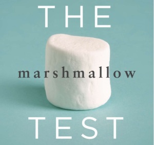 test_marshmallow